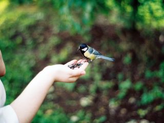 Image: placeholder_29d9776450ee.jpg